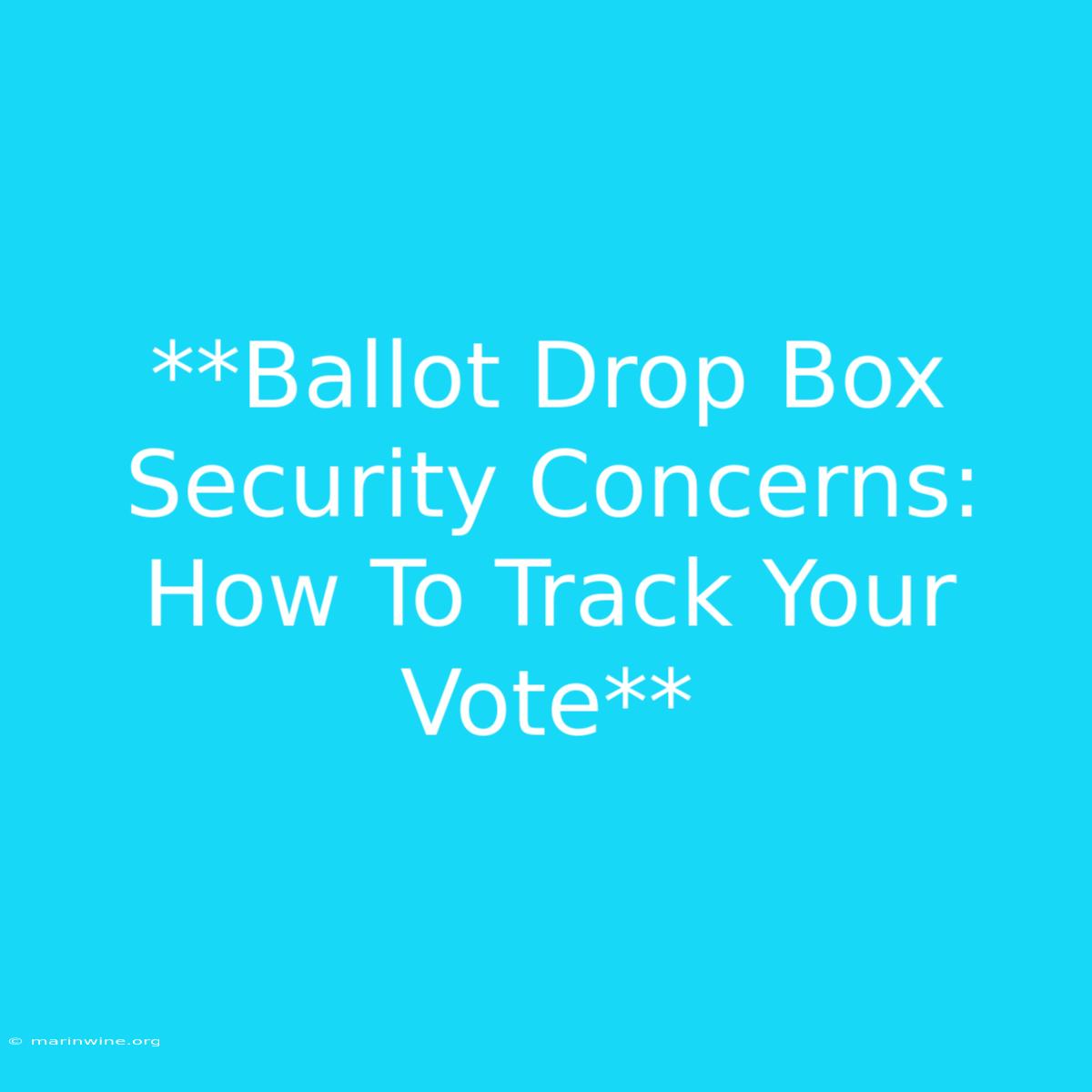 **Ballot Drop Box Security Concerns: How To Track Your Vote** 