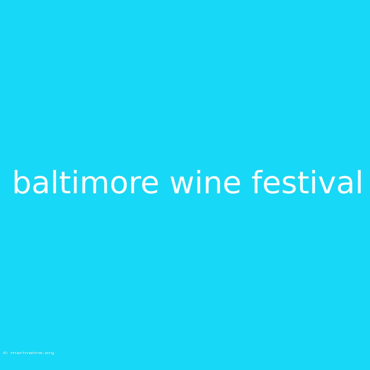 Baltimore Wine Festival