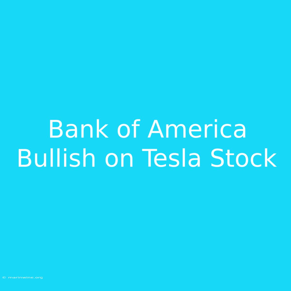 Bank Of America Bullish On Tesla Stock