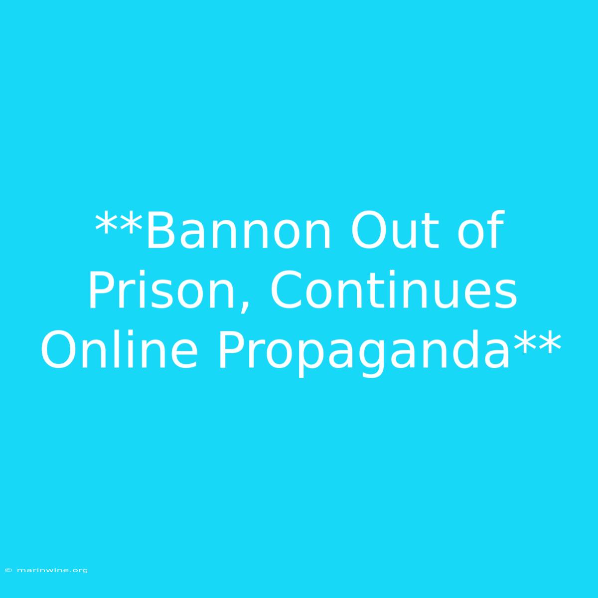 **Bannon Out Of Prison, Continues Online Propaganda**