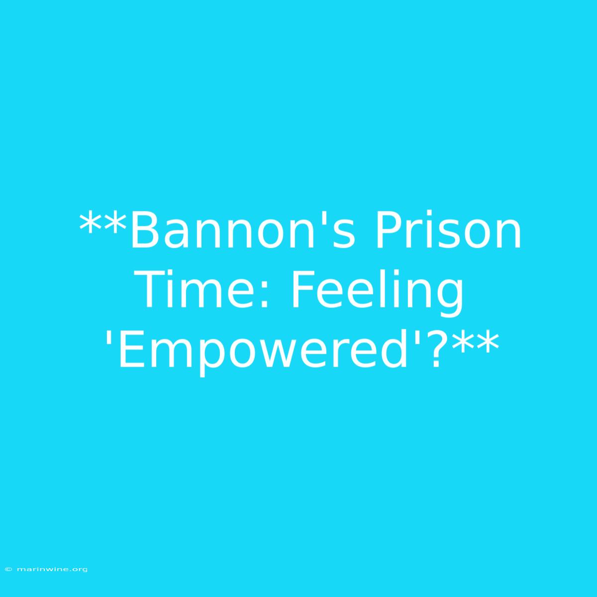 **Bannon's Prison Time: Feeling 'Empowered'?**