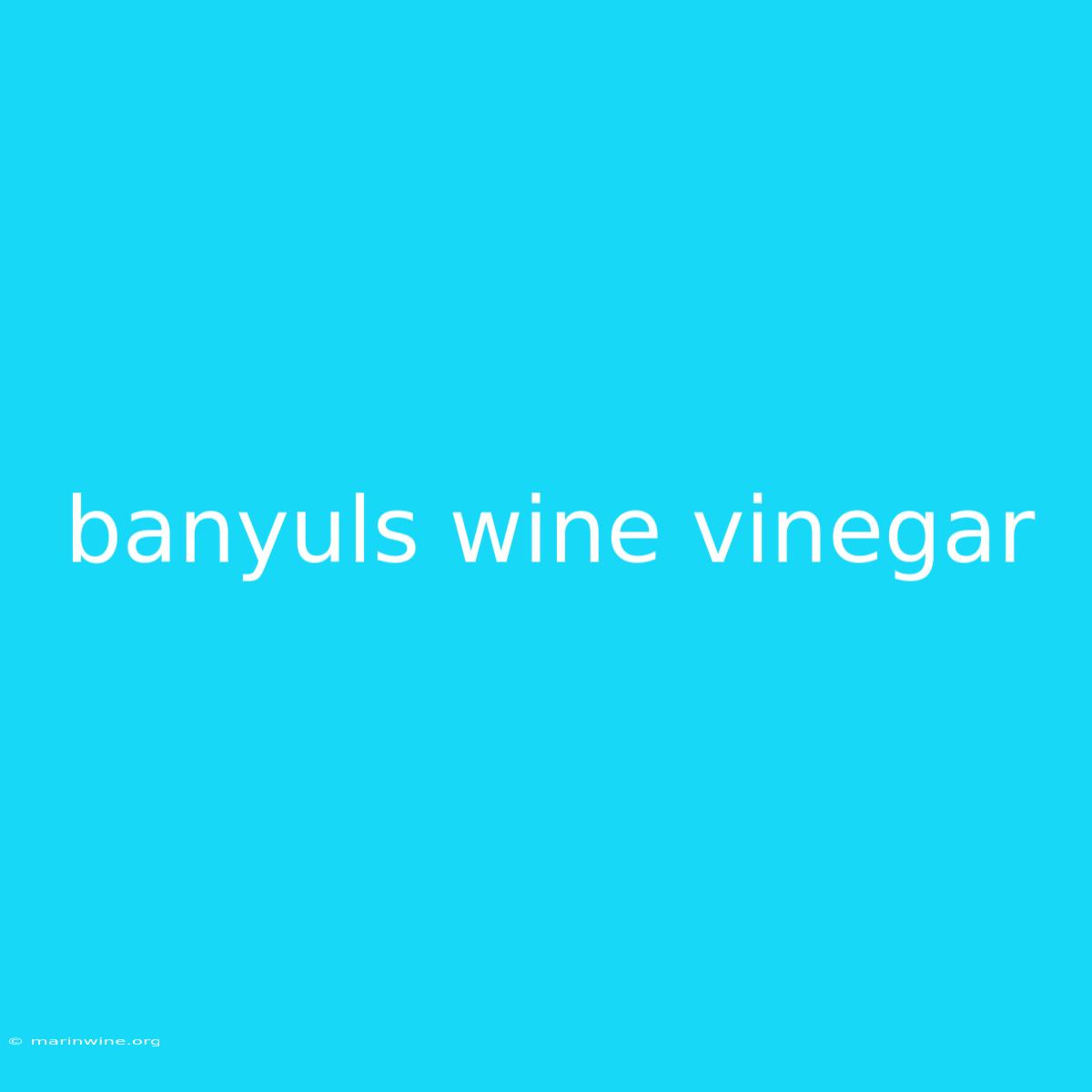 Banyuls Wine Vinegar