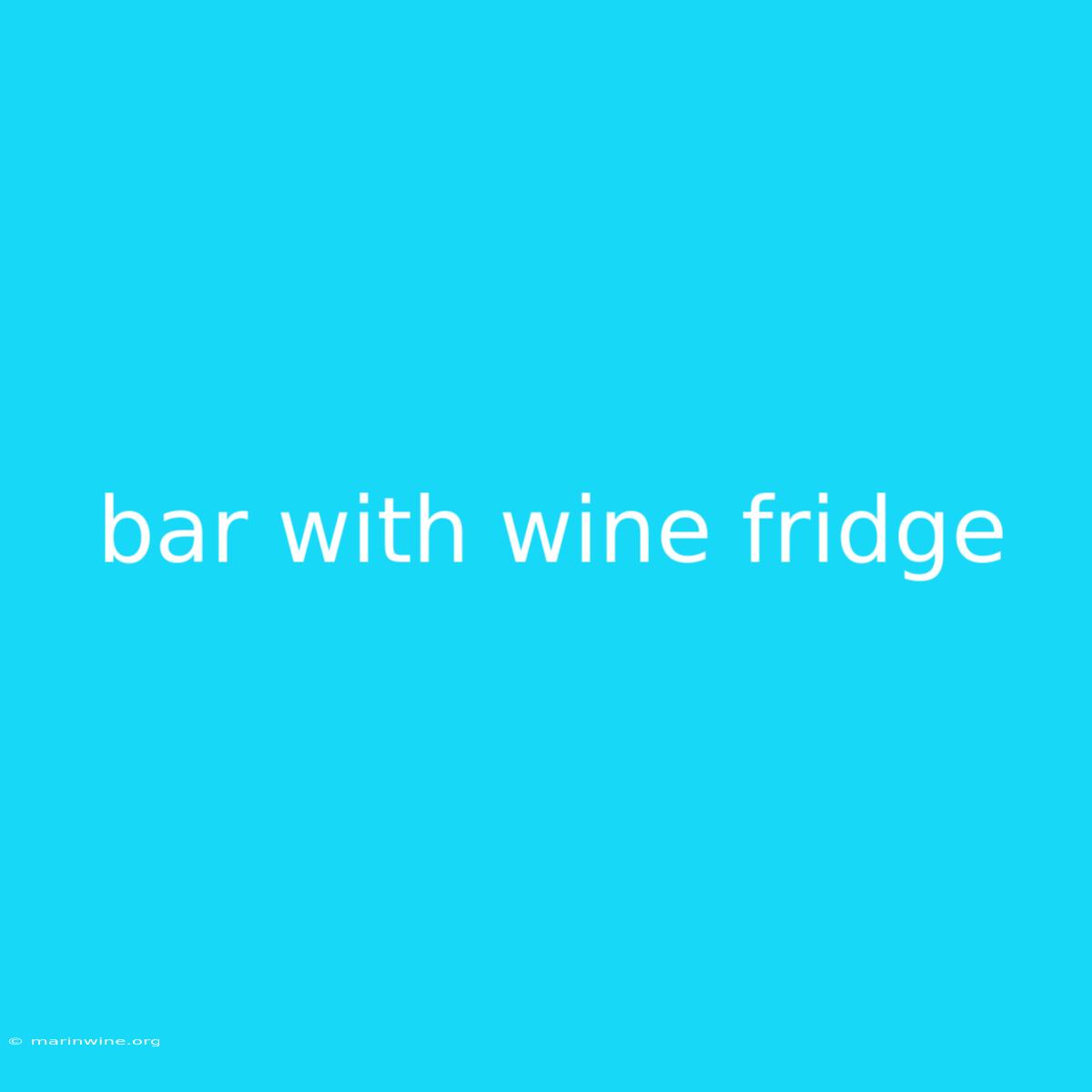 Bar With Wine Fridge