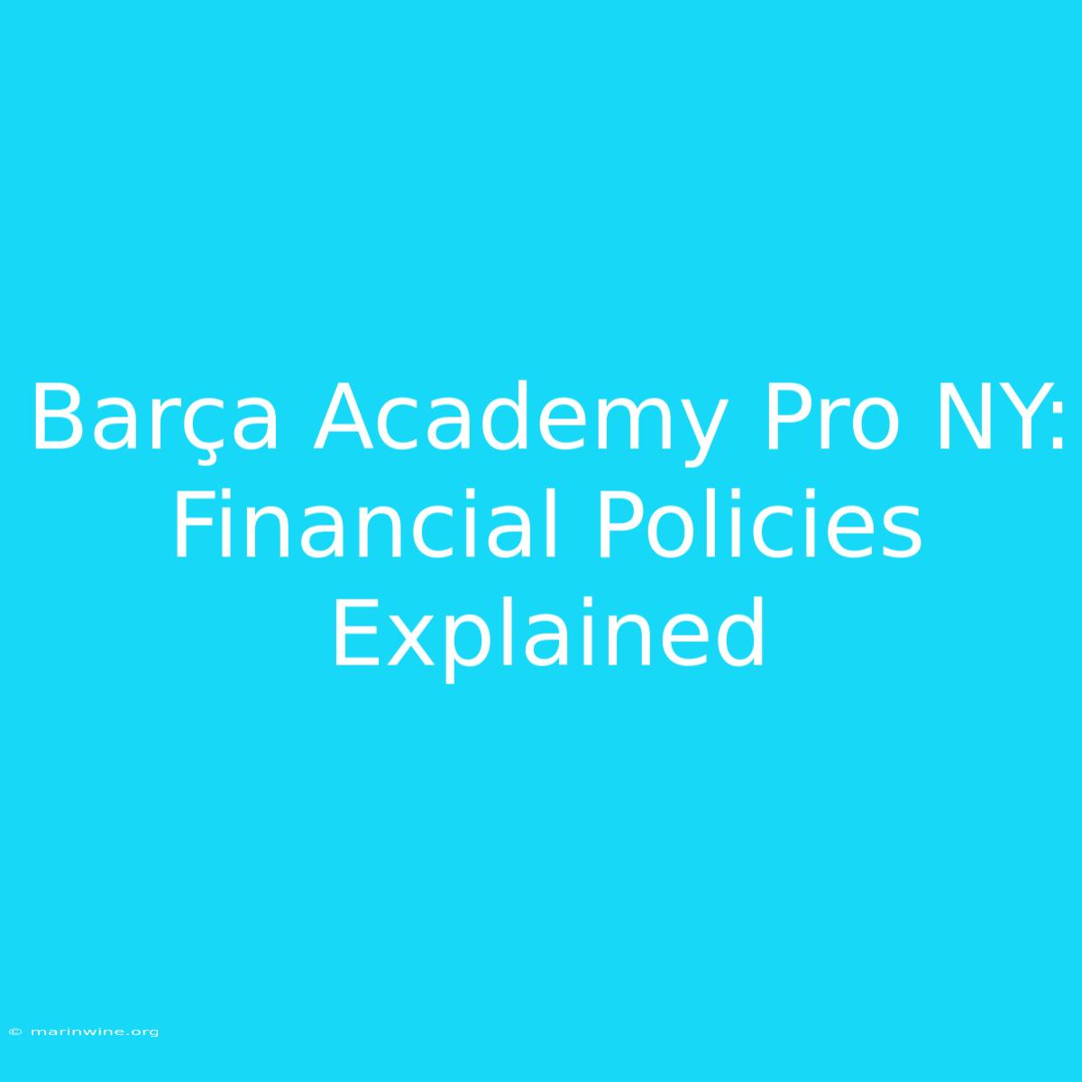 Barça Academy Pro NY: Financial Policies Explained