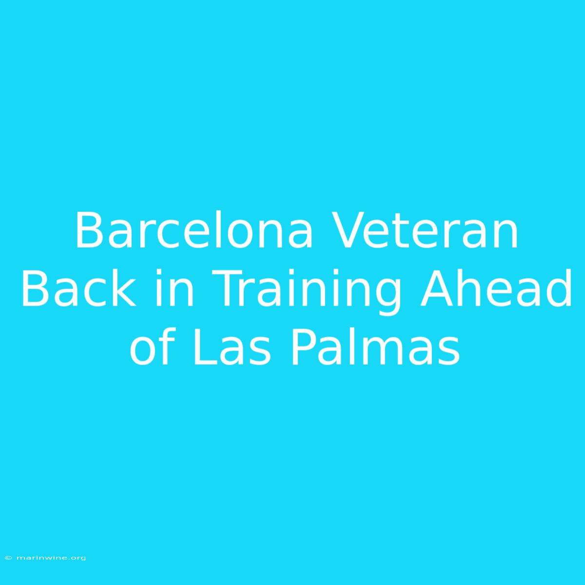 Barcelona Veteran Back In Training Ahead Of Las Palmas