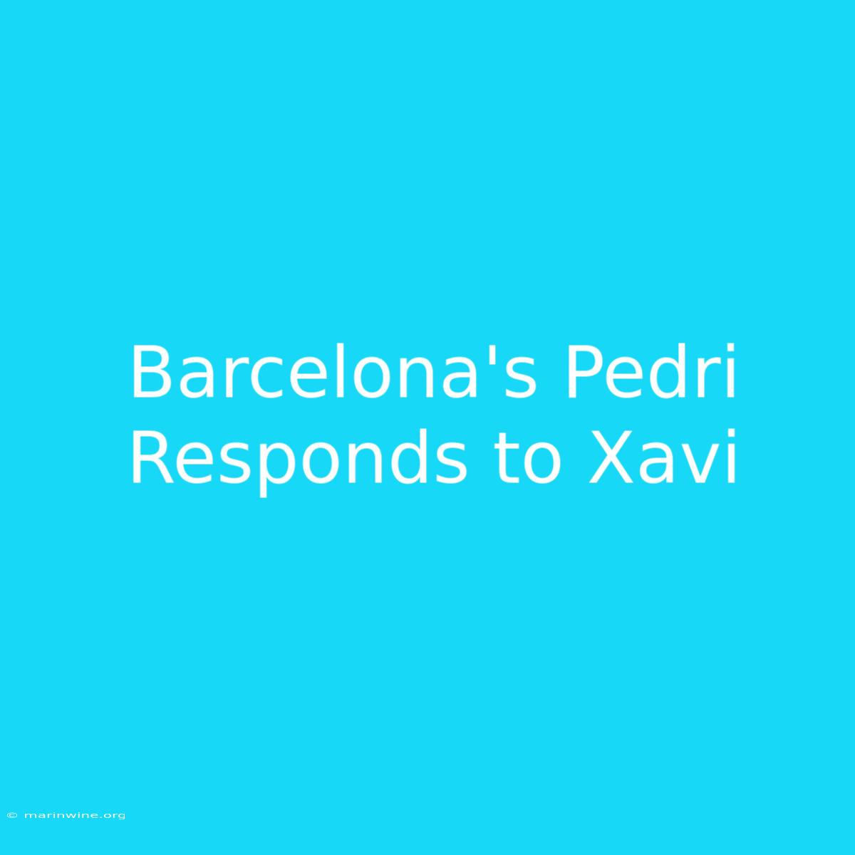 Barcelona's Pedri Responds To Xavi