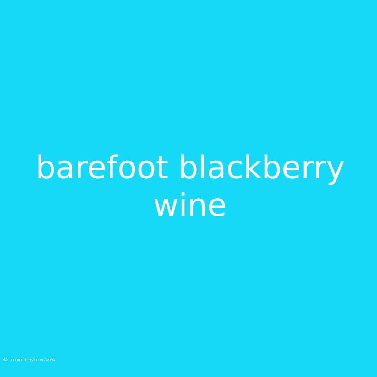 Barefoot Blackberry Wine