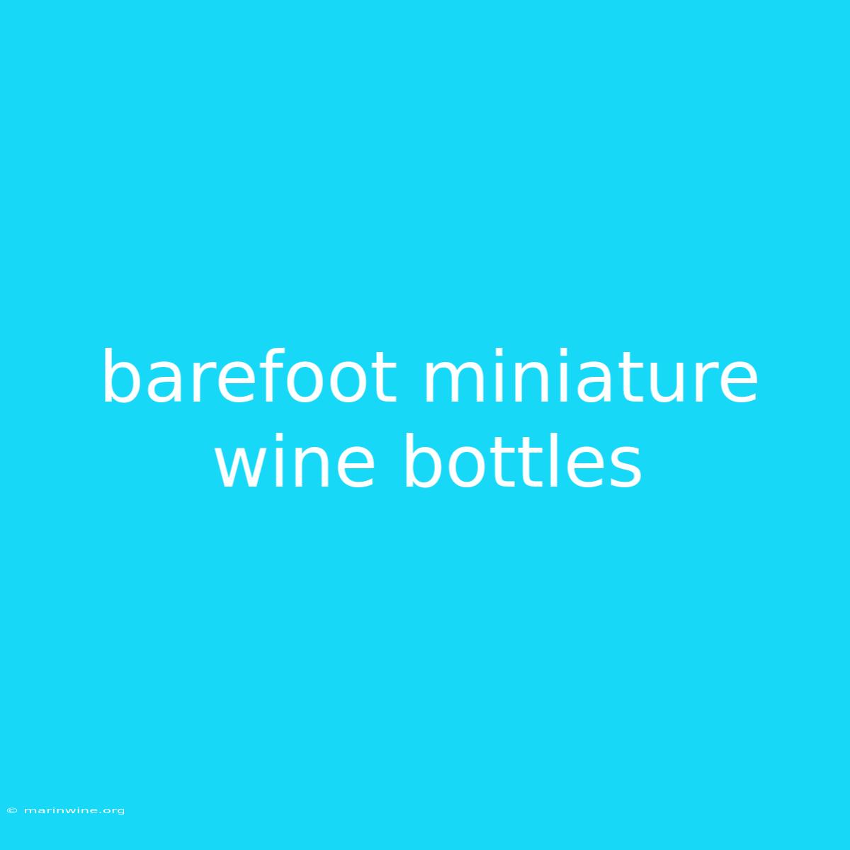 Barefoot Miniature Wine Bottles