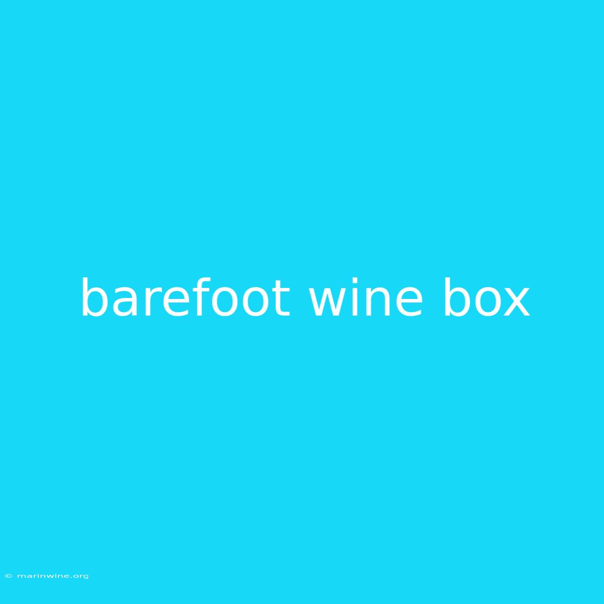 Barefoot Wine Box