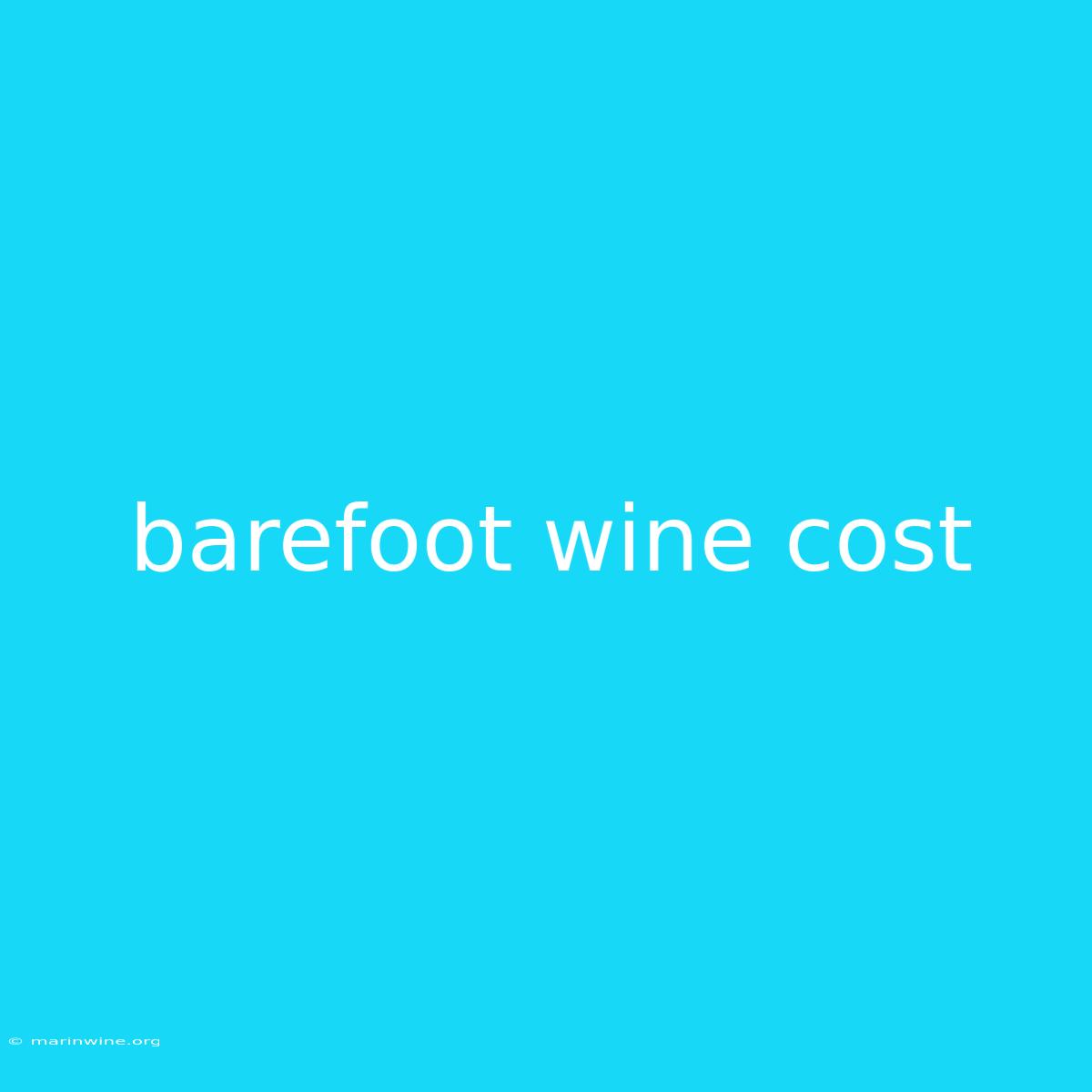 Barefoot Wine Cost