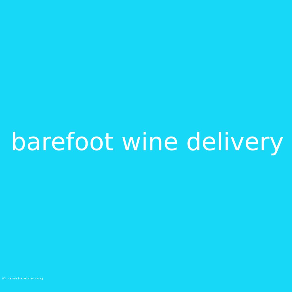 Barefoot Wine Delivery