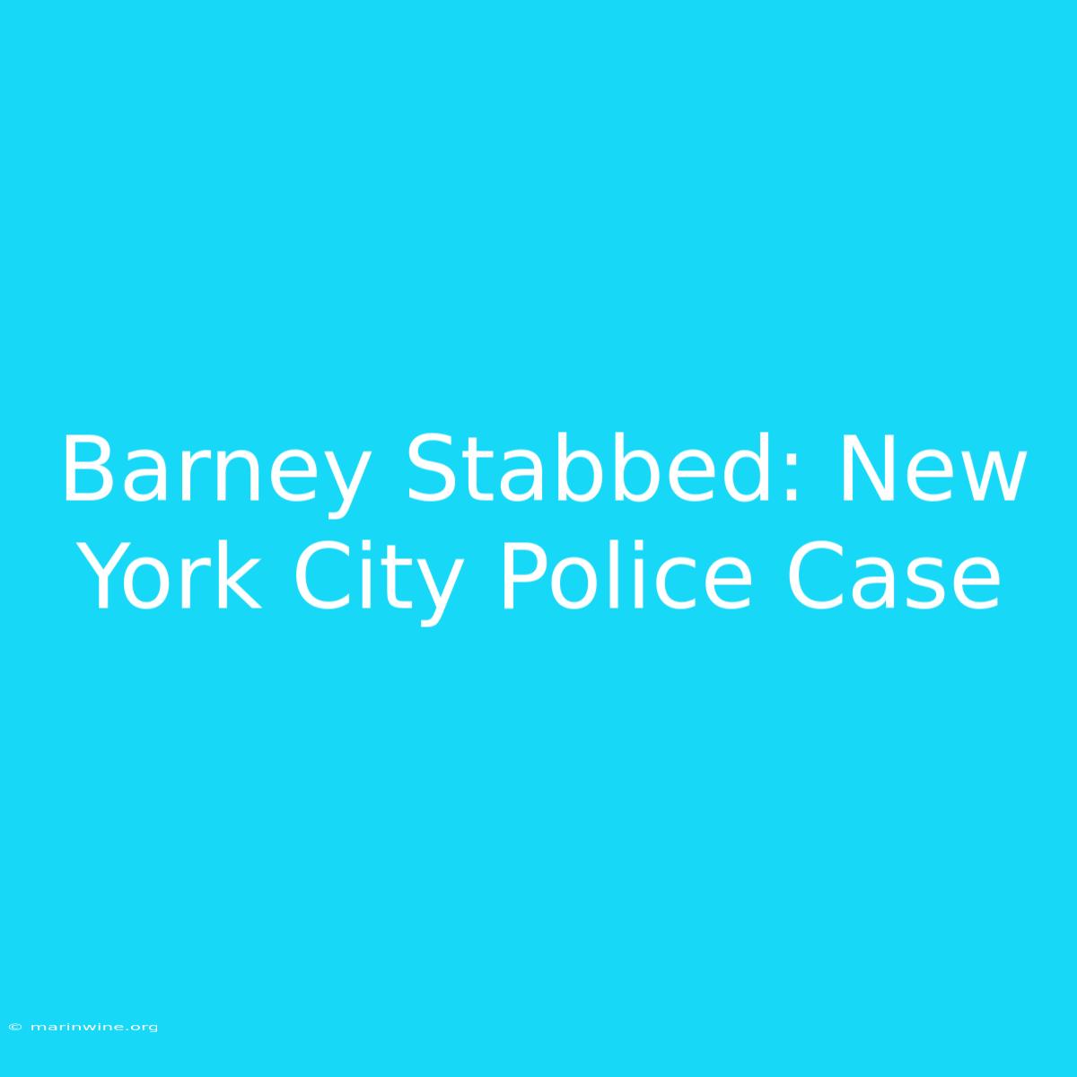 Barney Stabbed: New York City Police Case