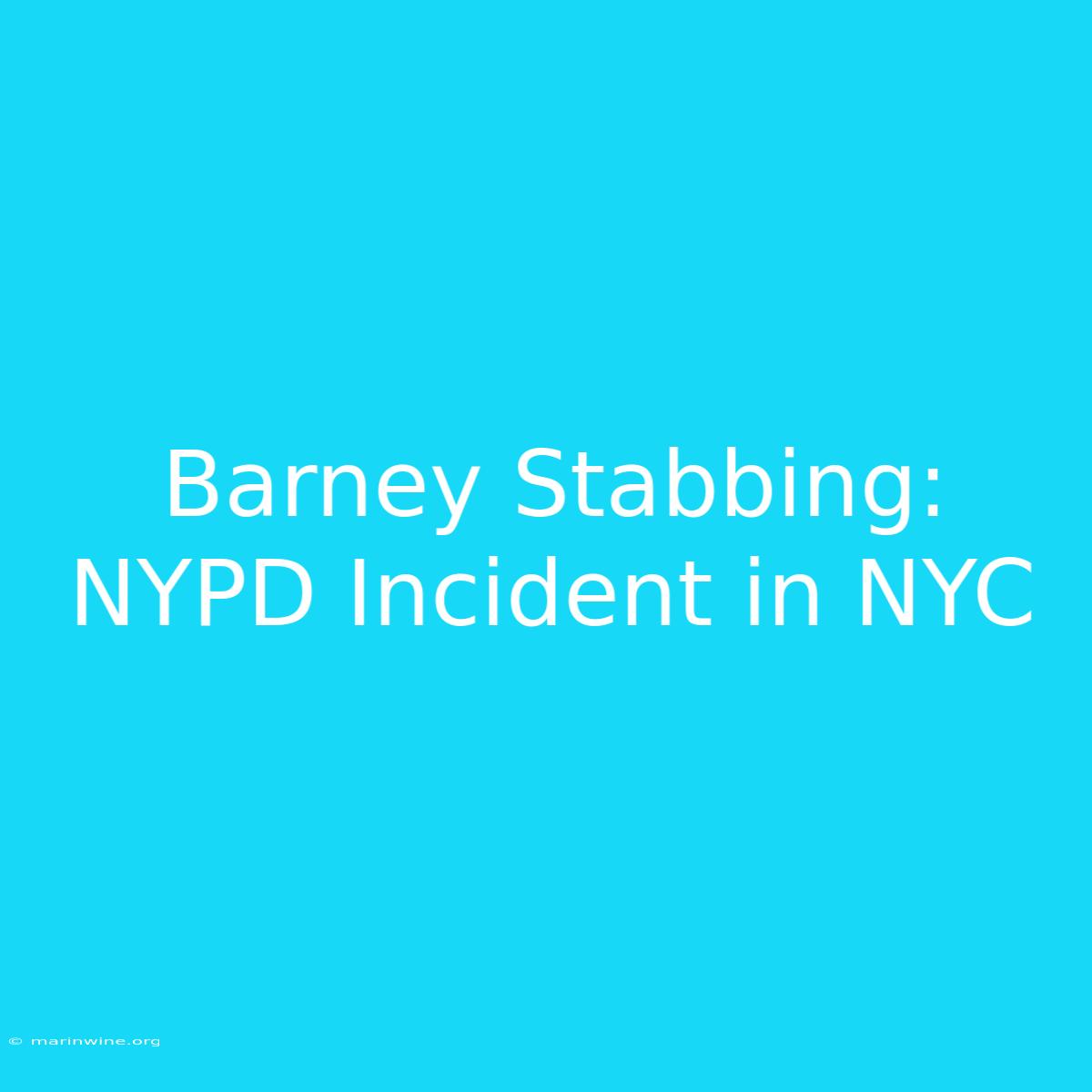 Barney Stabbing: NYPD Incident In NYC