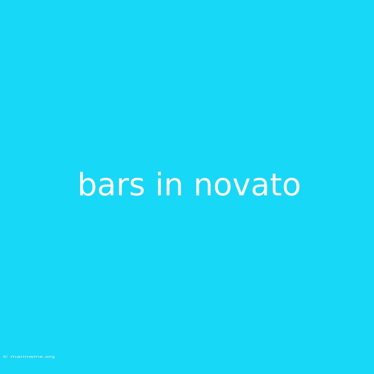 Bars In Novato