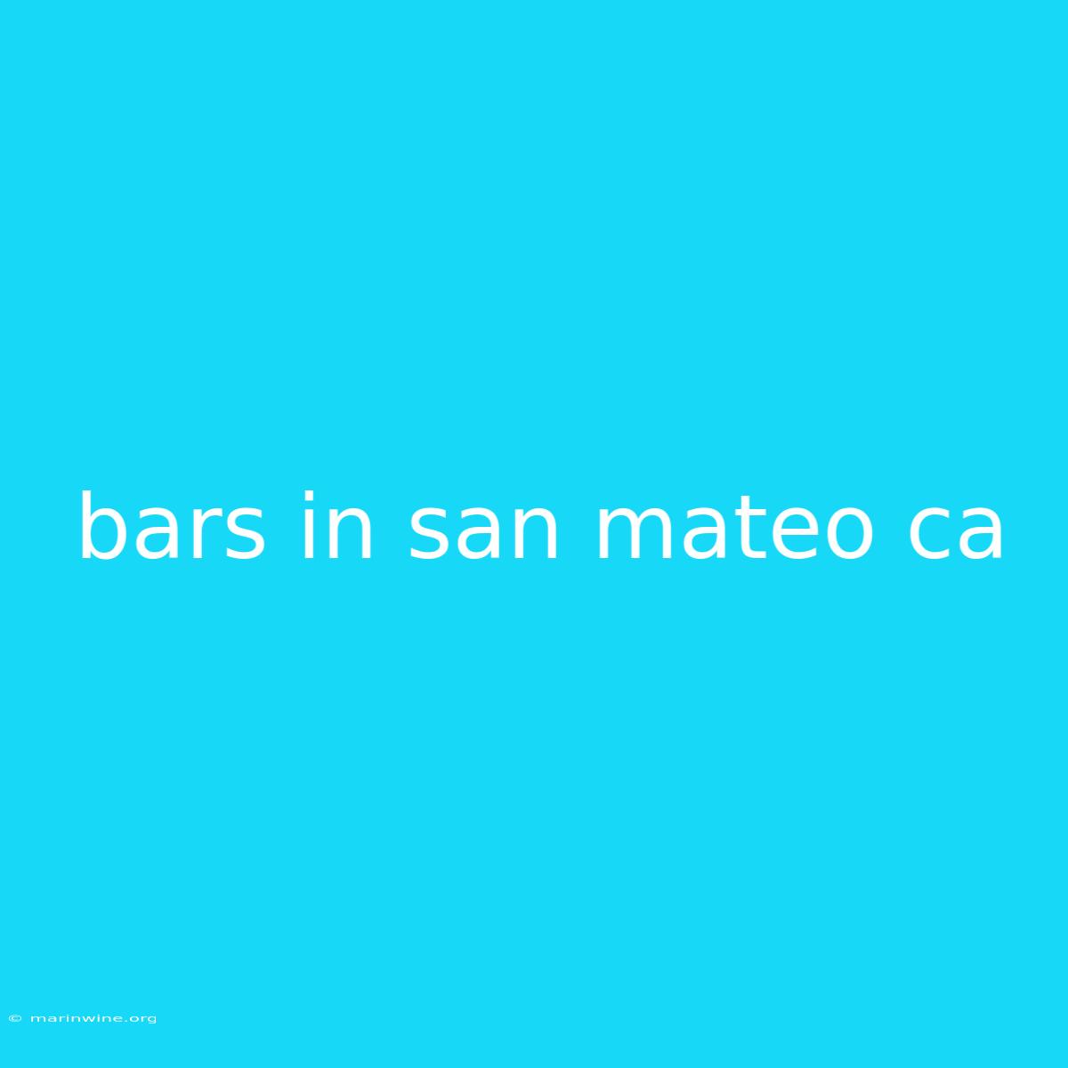 Bars In San Mateo Ca