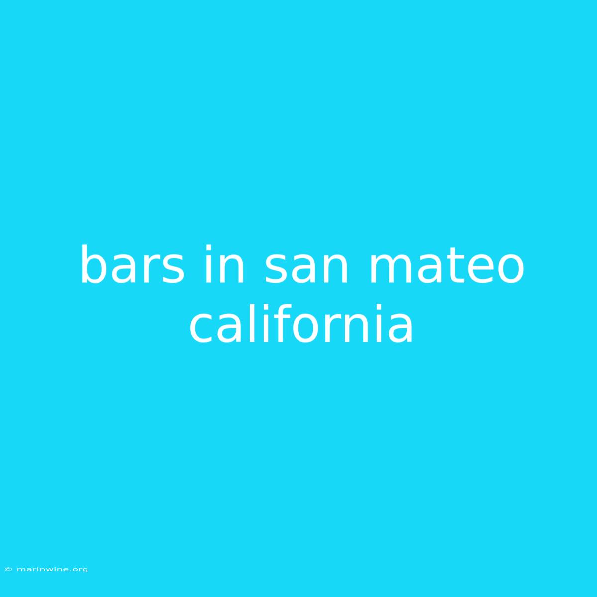 Bars In San Mateo California