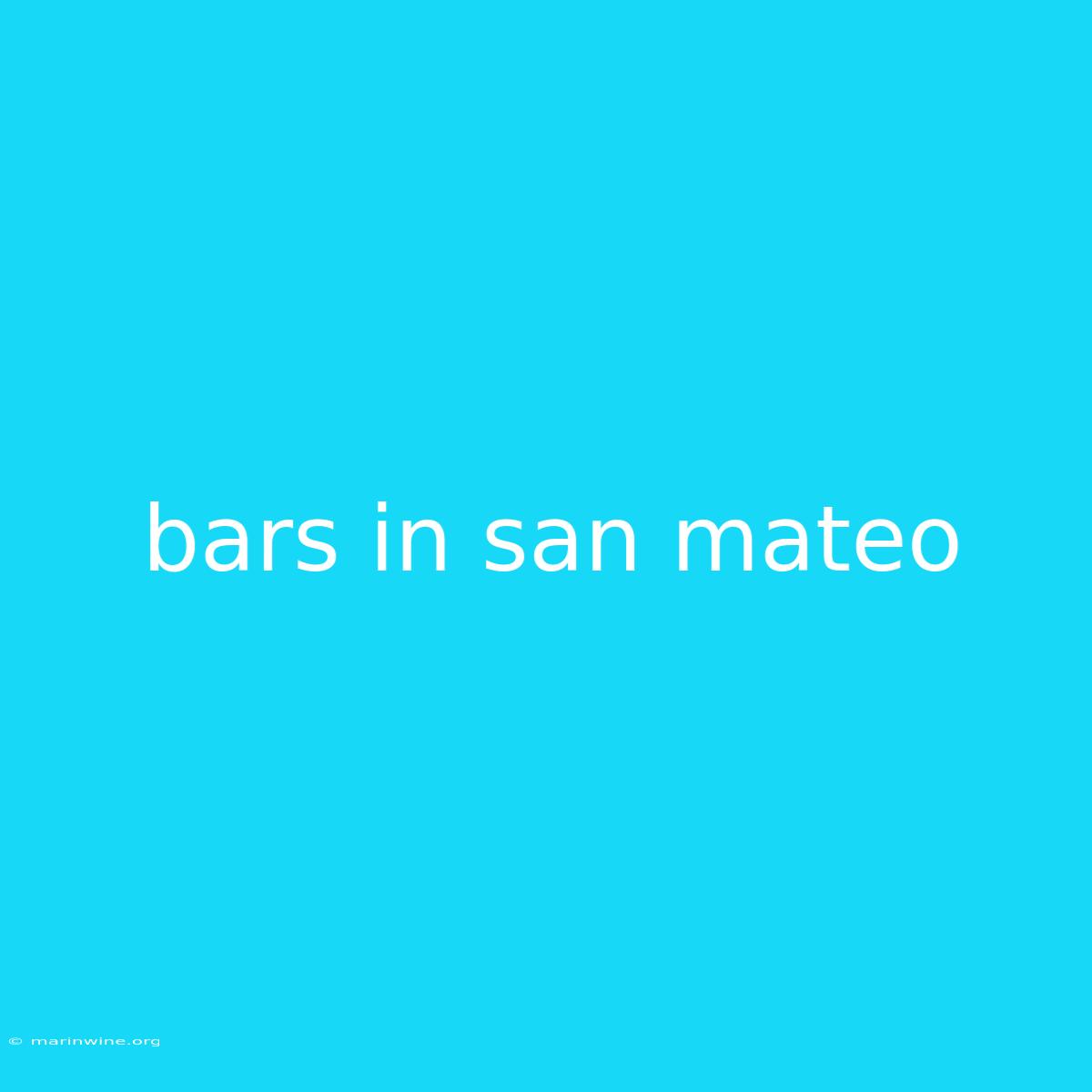 Bars In San Mateo