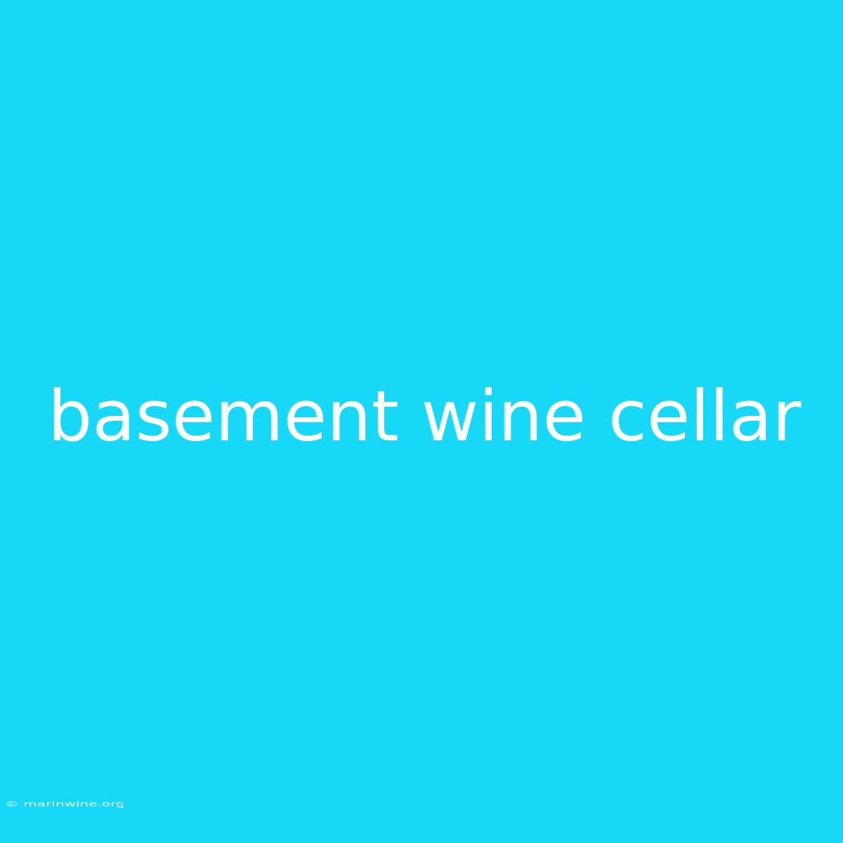 Basement Wine Cellar