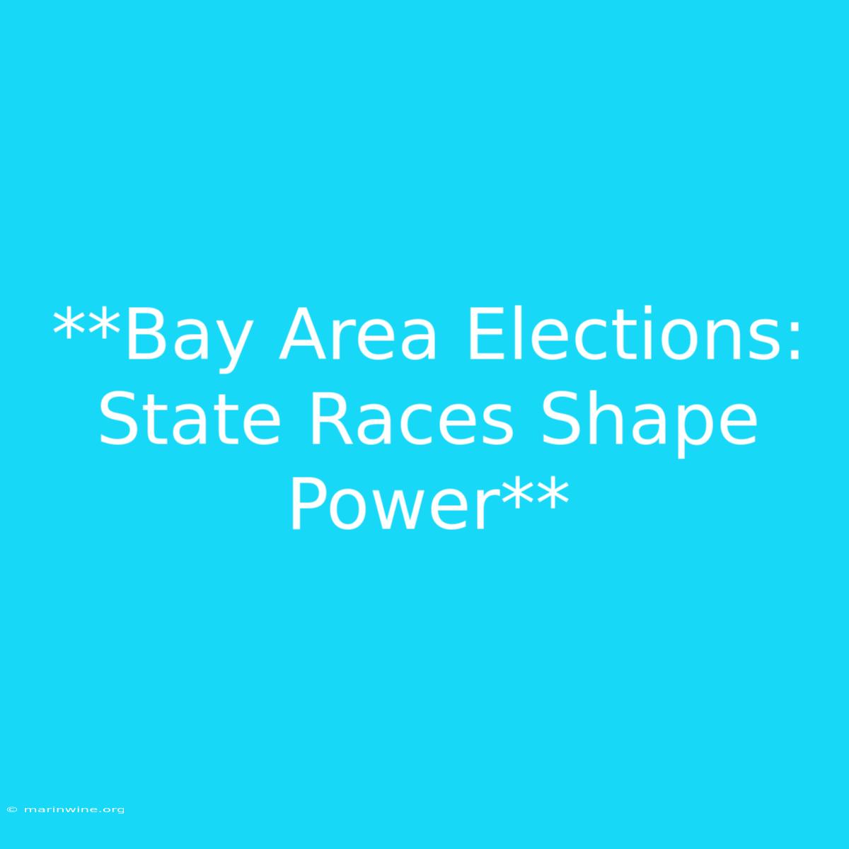 **Bay Area Elections: State Races Shape Power** 