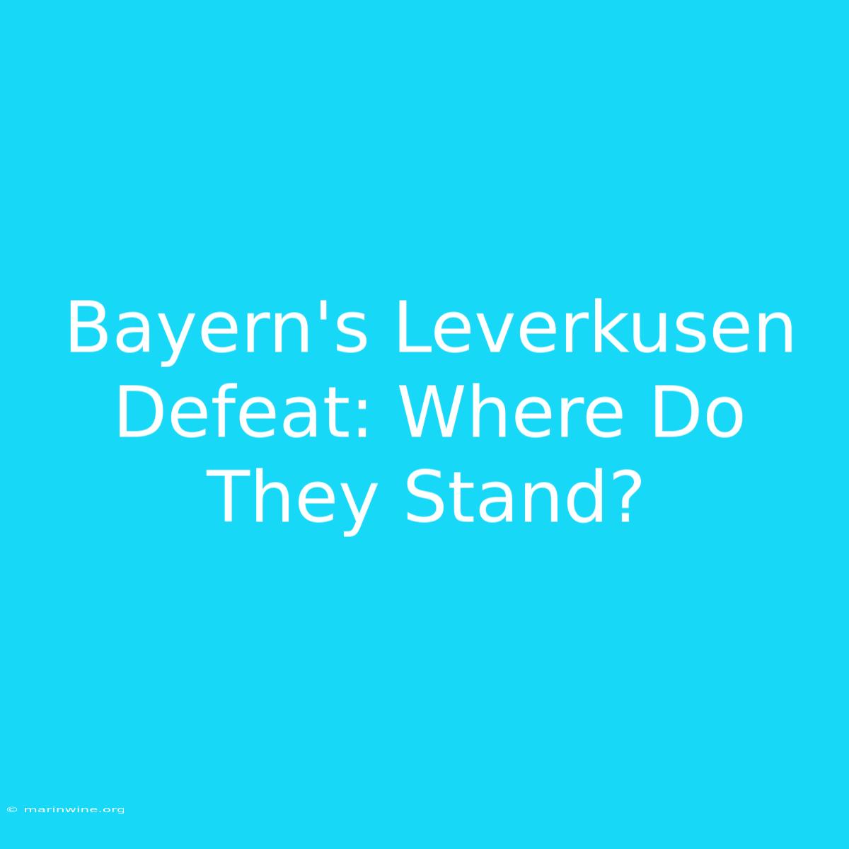 Bayern's Leverkusen Defeat: Where Do They Stand?