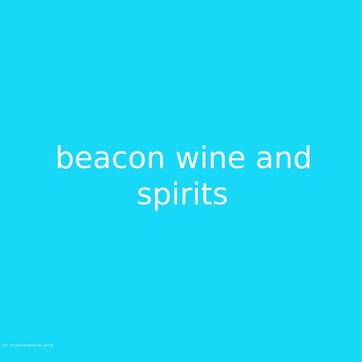 Beacon Wine And Spirits