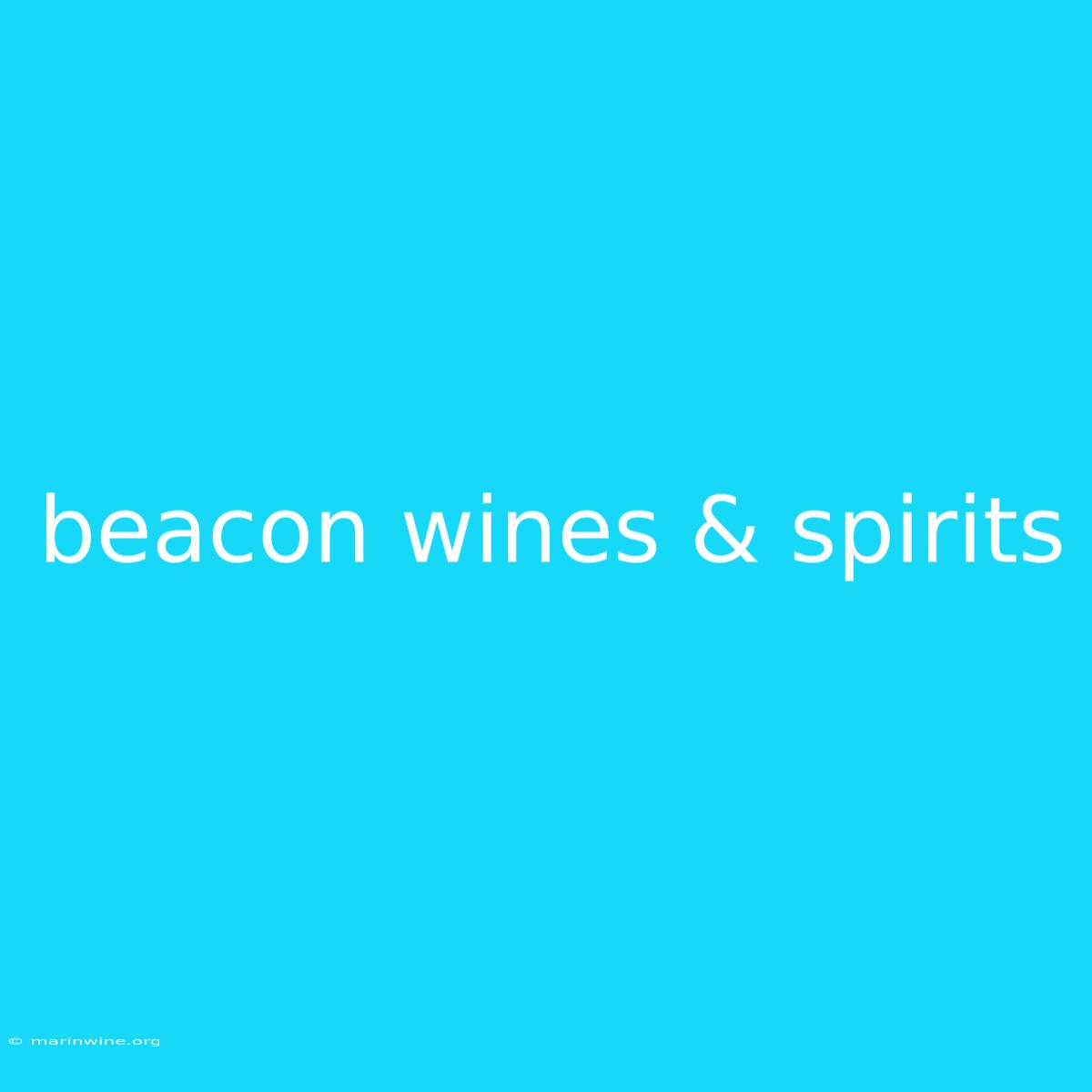 Beacon Wines & Spirits