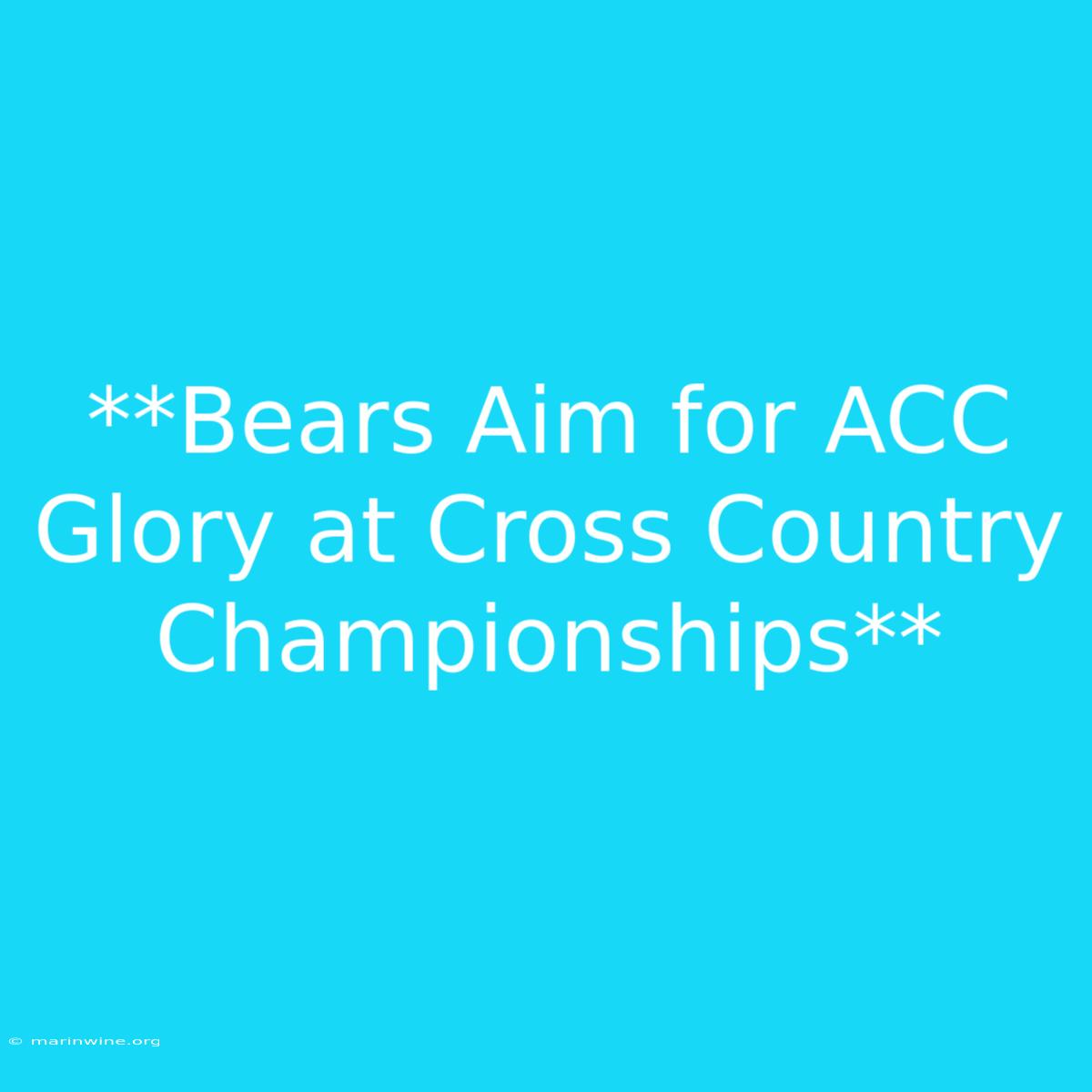 **Bears Aim For ACC Glory At Cross Country Championships**