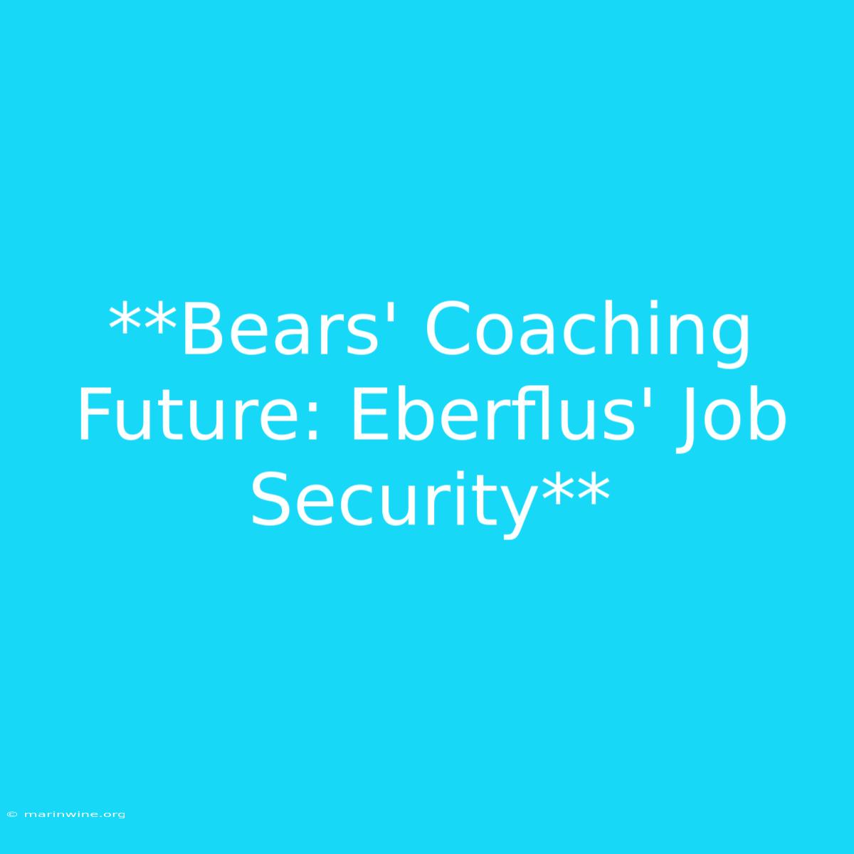 **Bears' Coaching Future: Eberflus' Job Security**