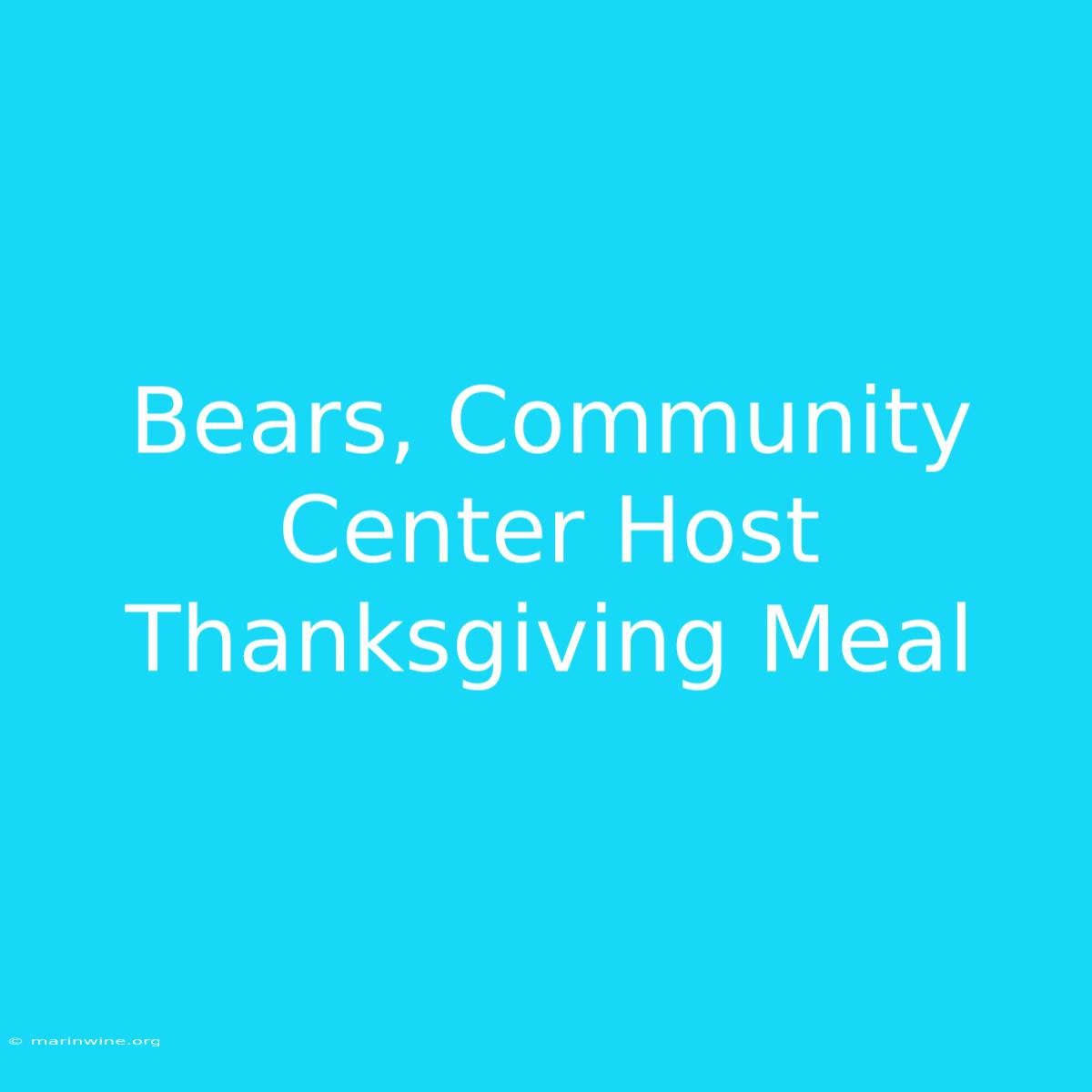 Bears, Community Center Host Thanksgiving Meal