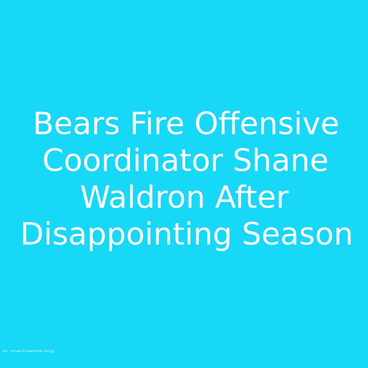 Bears Fire Offensive Coordinator Shane Waldron After Disappointing Season