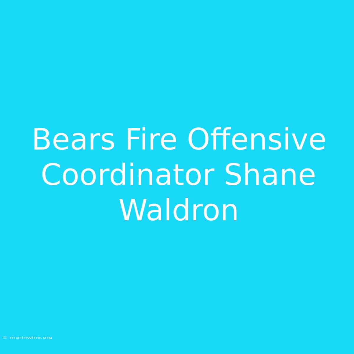 Bears Fire Offensive Coordinator Shane Waldron