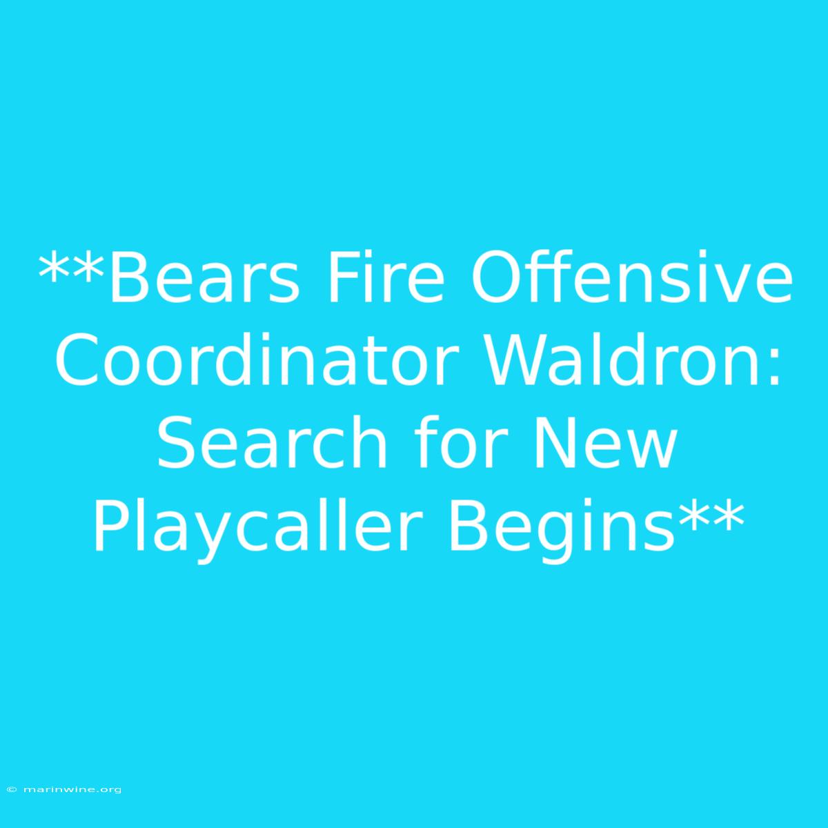 **Bears Fire Offensive Coordinator Waldron: Search For New Playcaller Begins** 