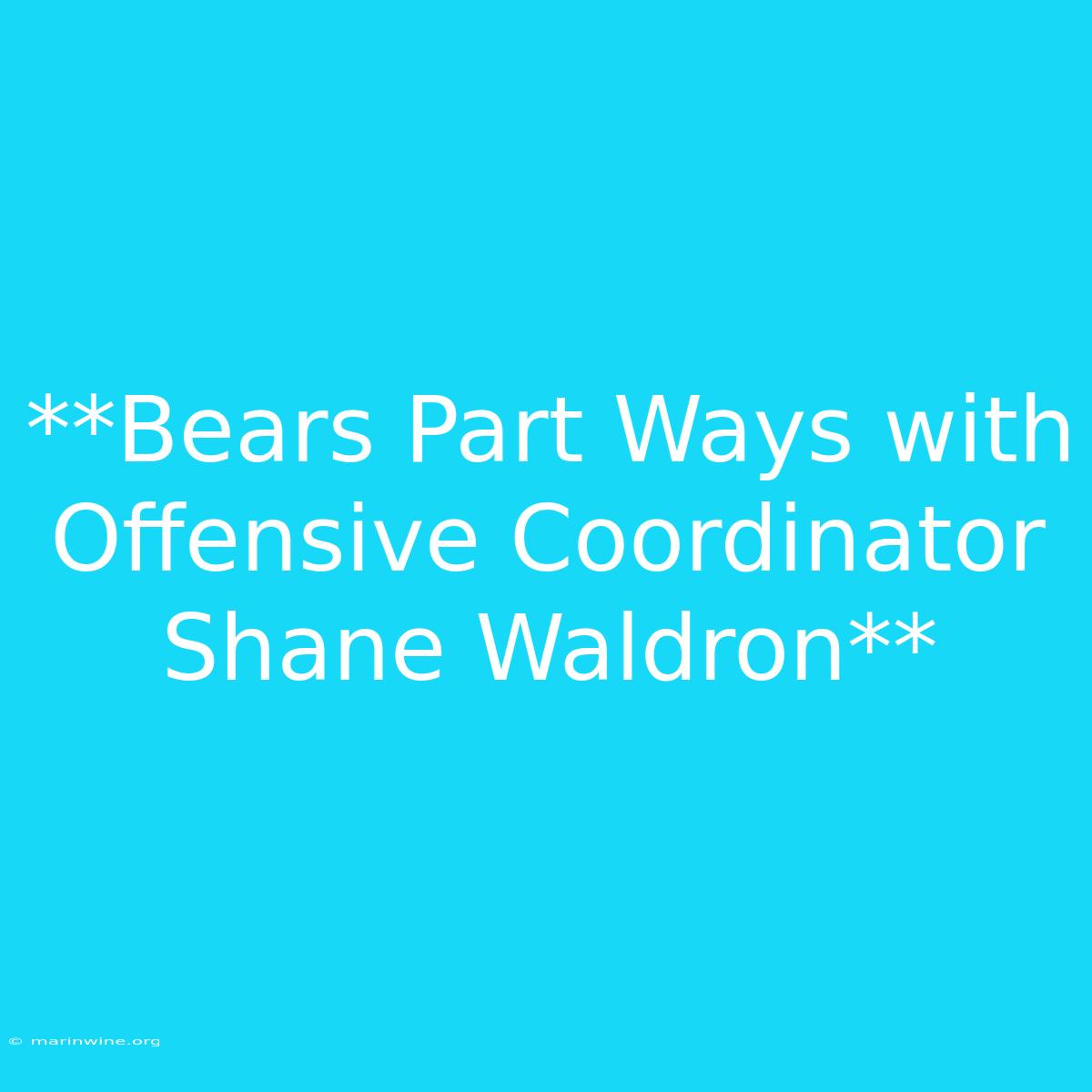 **Bears Part Ways With Offensive Coordinator Shane Waldron**