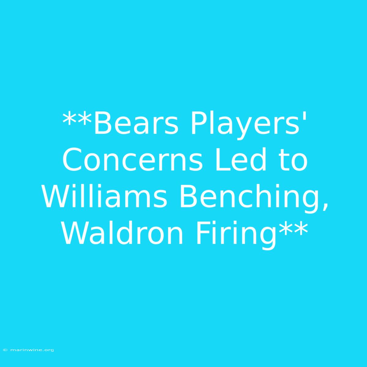 **Bears Players' Concerns Led To Williams Benching, Waldron Firing** 