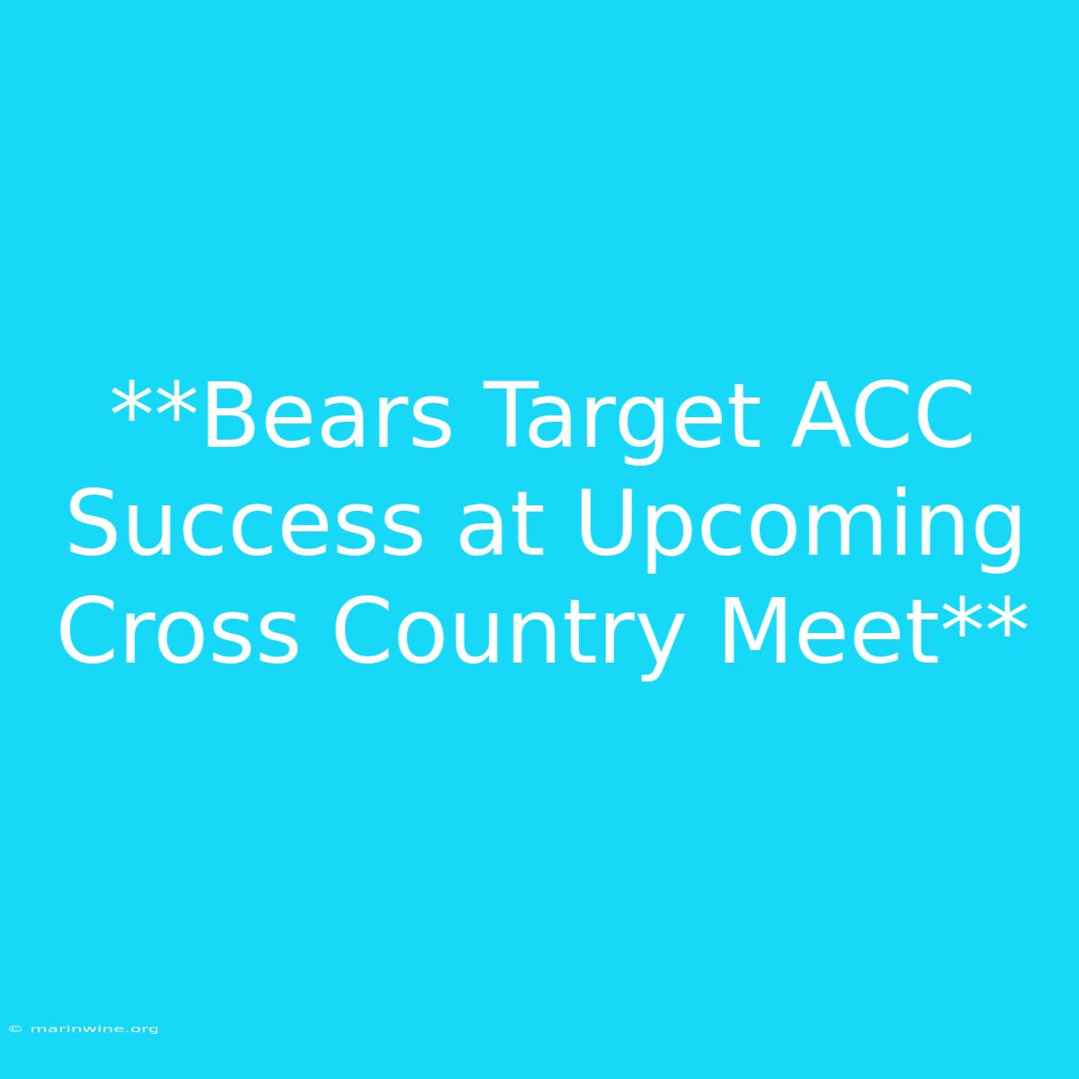 **Bears Target ACC Success At Upcoming Cross Country Meet** 