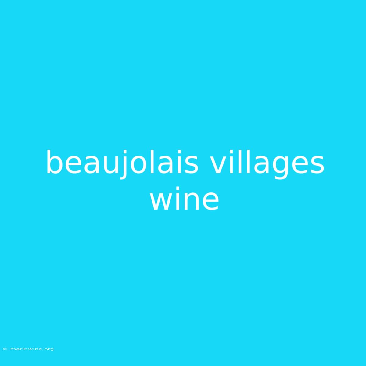 Beaujolais Villages Wine