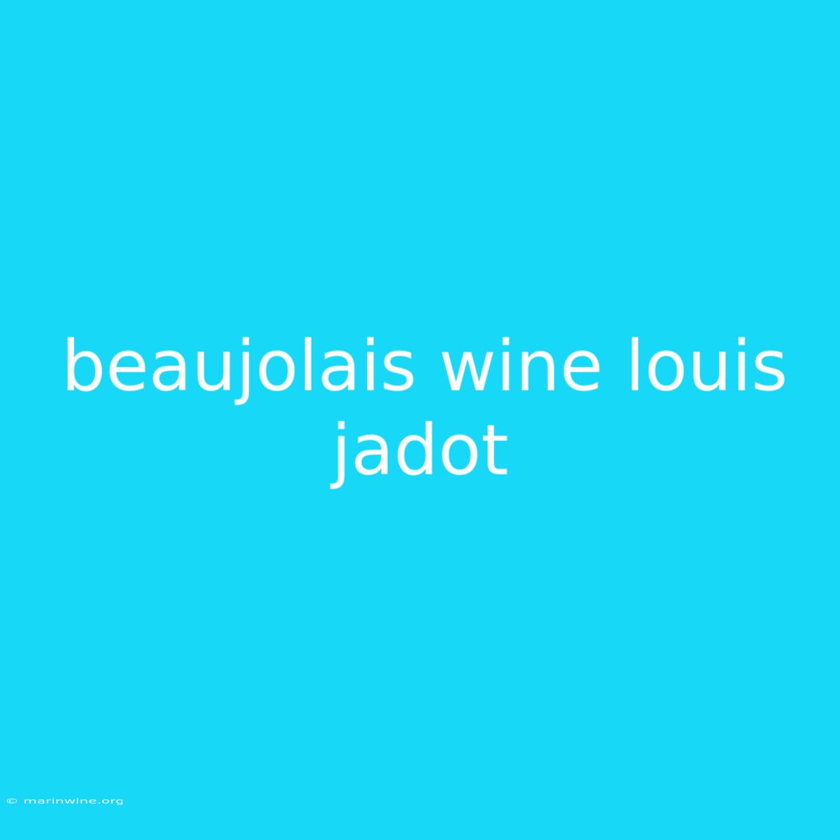 Beaujolais Wine Louis Jadot