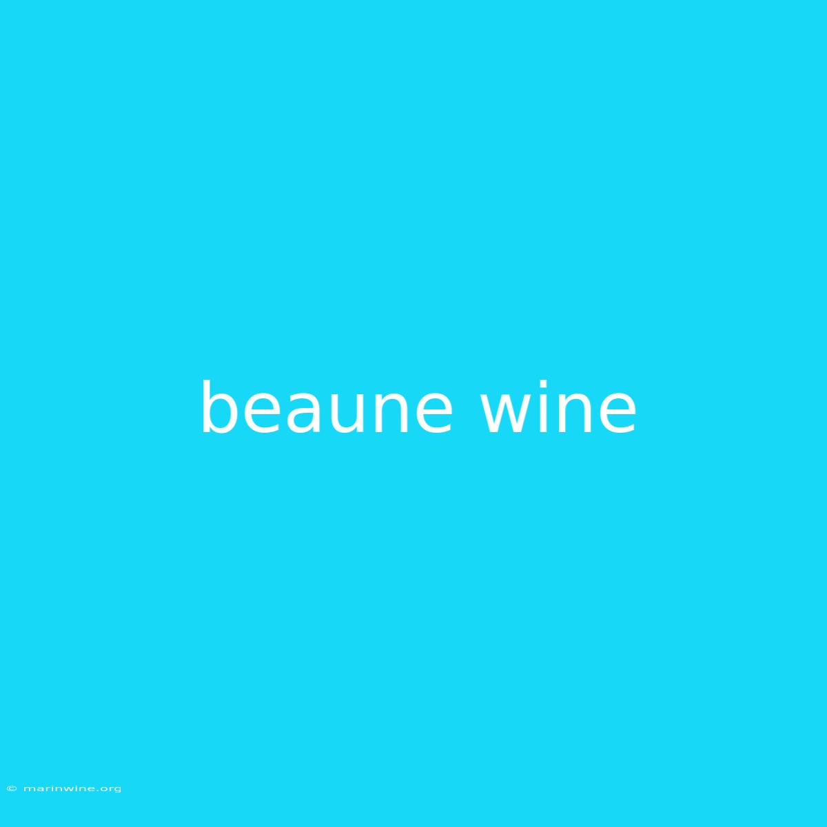 Beaune Wine