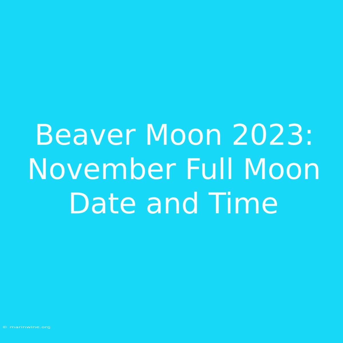 Beaver Moon 2023: November Full Moon Date And Time 