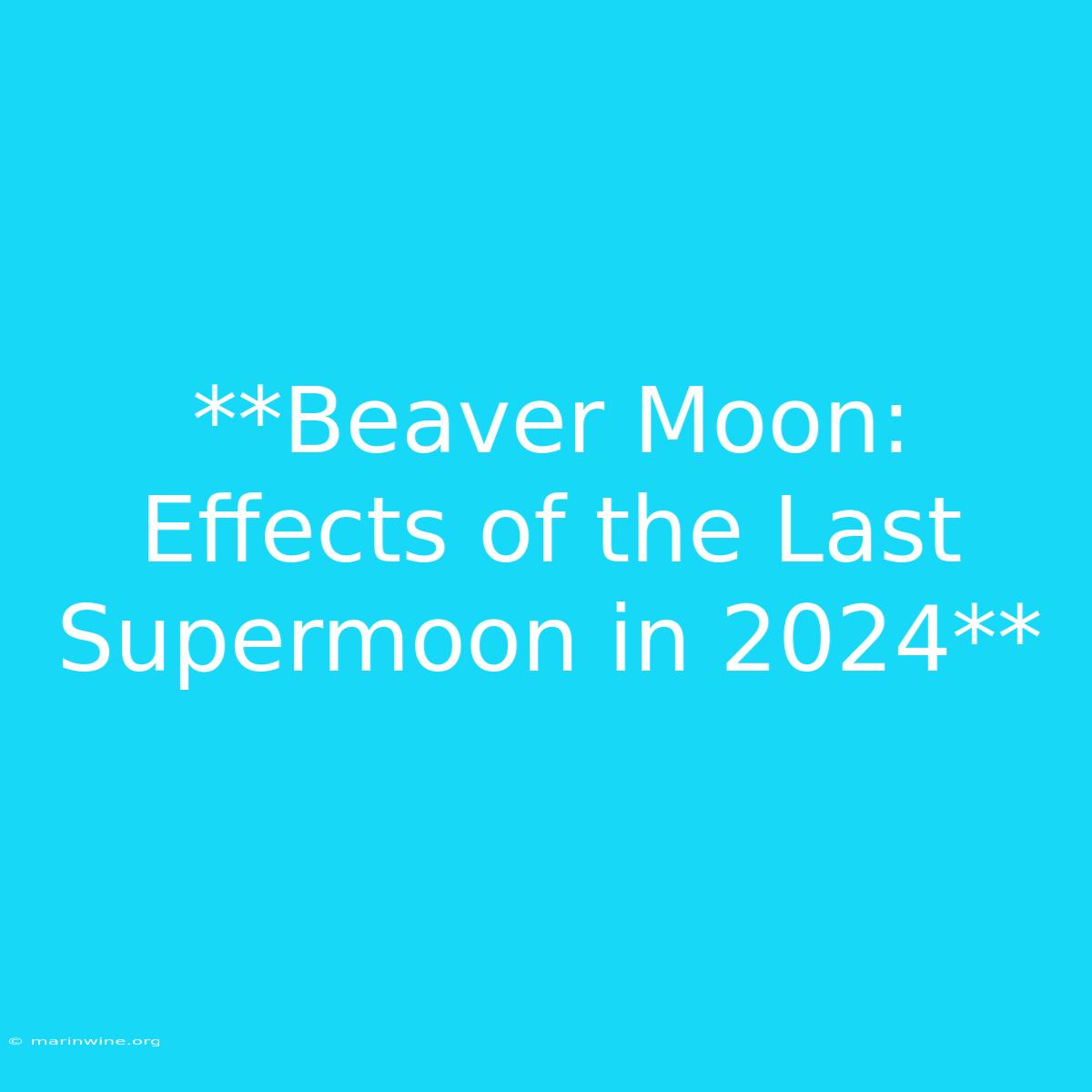 **Beaver Moon:  Effects Of The Last Supermoon In 2024** 