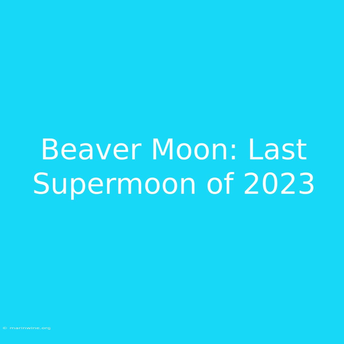 Beaver Moon: Last Supermoon Of 2023