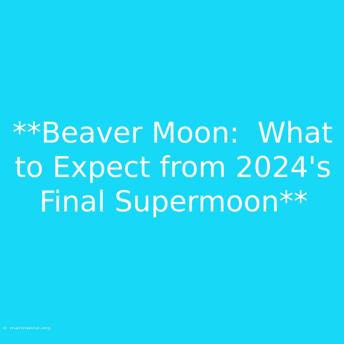 **Beaver Moon:  What To Expect From 2024's Final Supermoon**