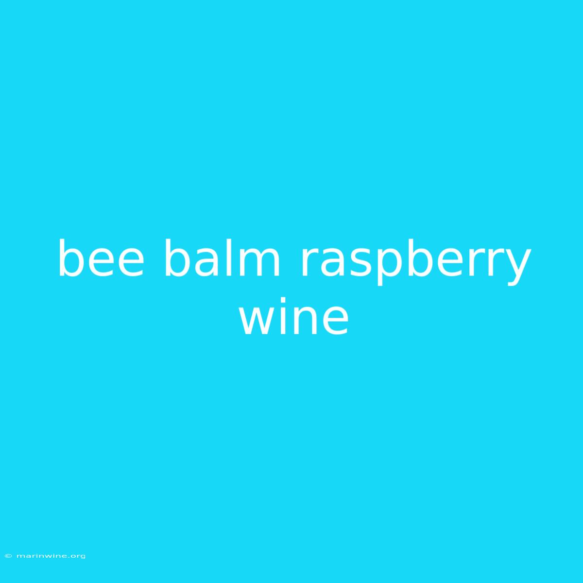 Bee Balm Raspberry Wine