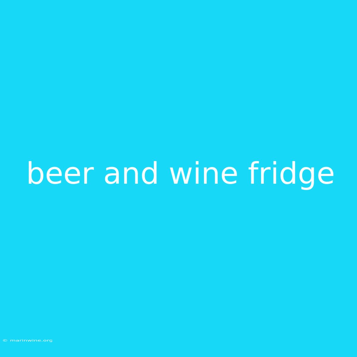 Beer And Wine Fridge