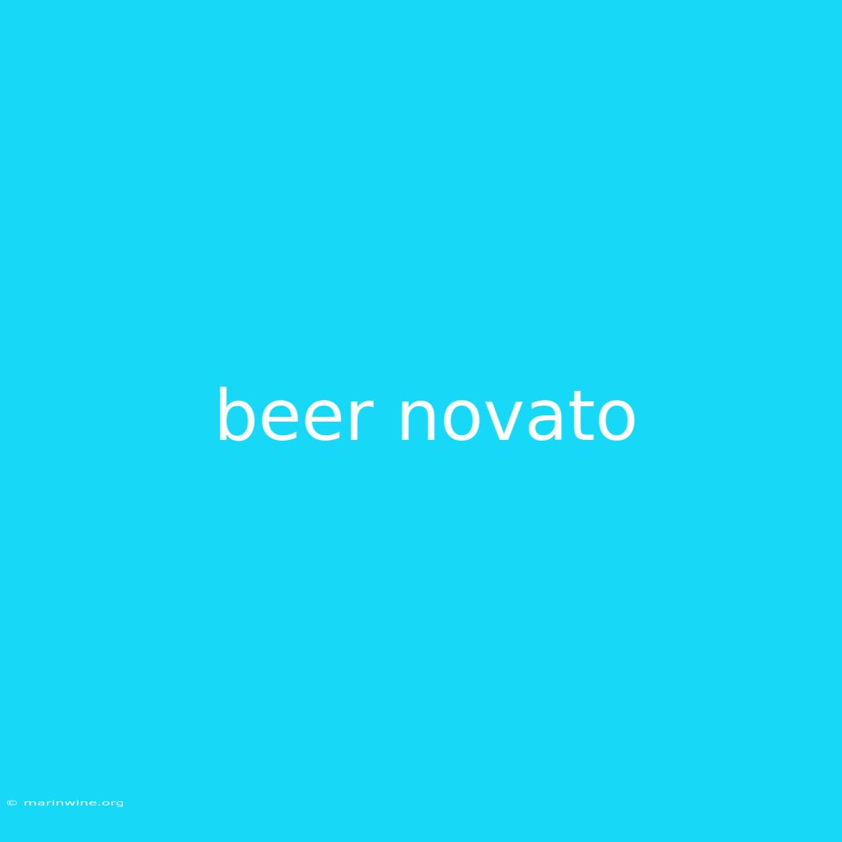 Beer Novato