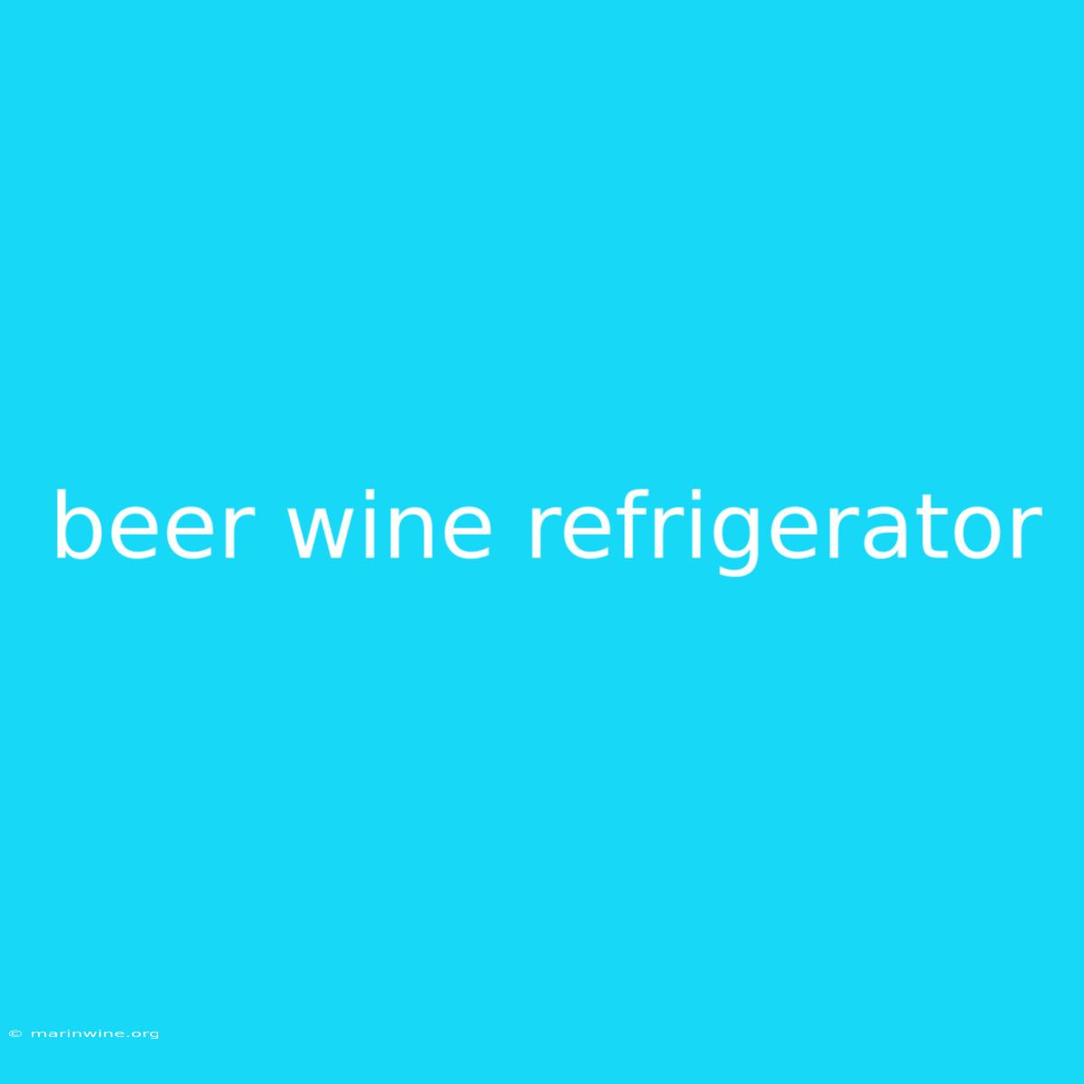 Beer Wine Refrigerator