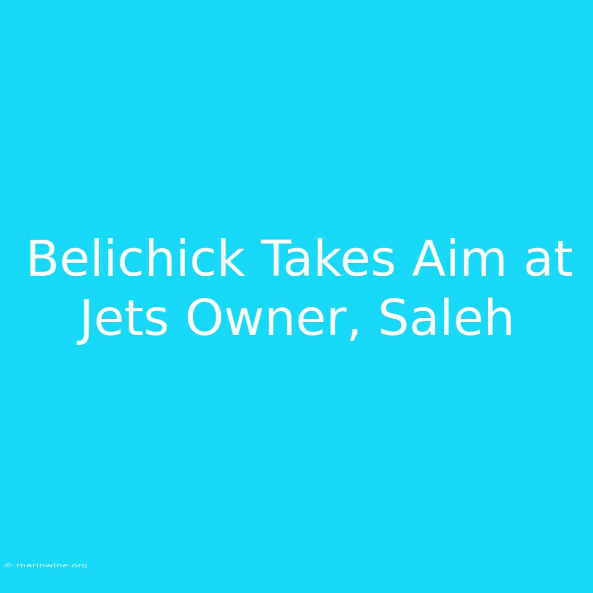 Belichick Takes Aim At Jets Owner, Saleh