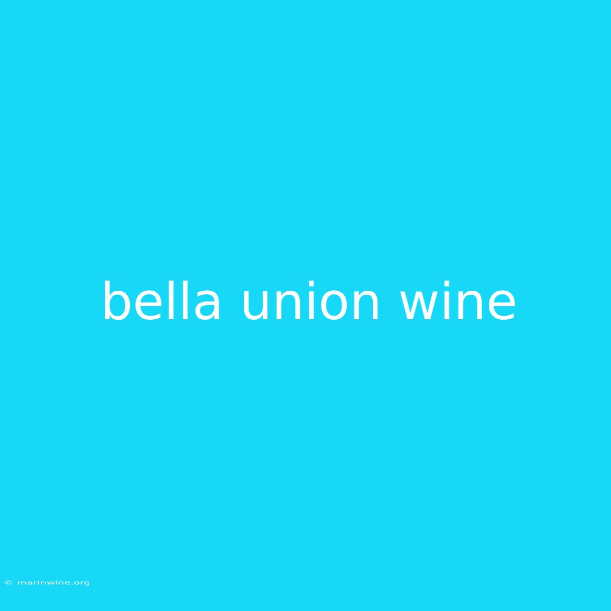 Bella Union Wine