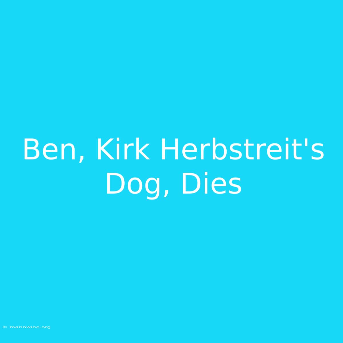 Ben, Kirk Herbstreit's Dog, Dies 