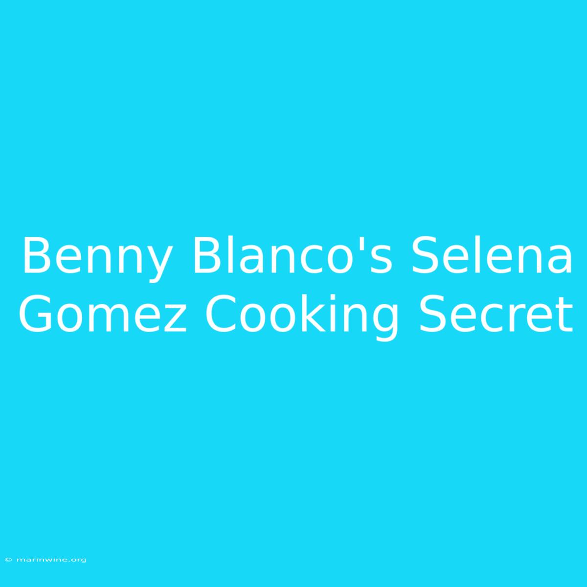 Benny Blanco's Selena Gomez Cooking Secret